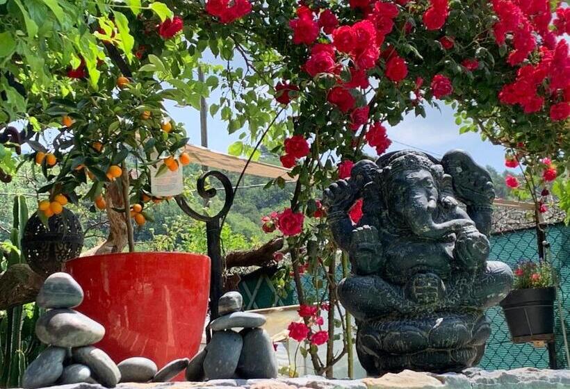 חדר משפחתי נוף לגינה, Lou Pantai