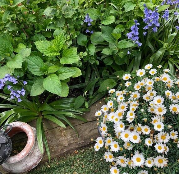 غرفة عائلية مطلّة علي الحديقة, Lou Pantai