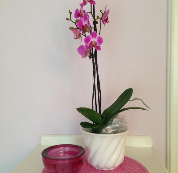 غرفة ديلوكس مطلة على البحيرة, Boutique Hotel Villa Am See