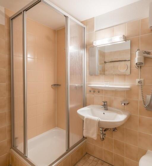 اتاق استاندارد, Bsw Hotel Hubertus Park