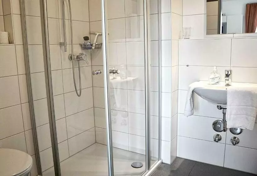 اتاق استاندارد یک نفره, Apparthotel Ampertal