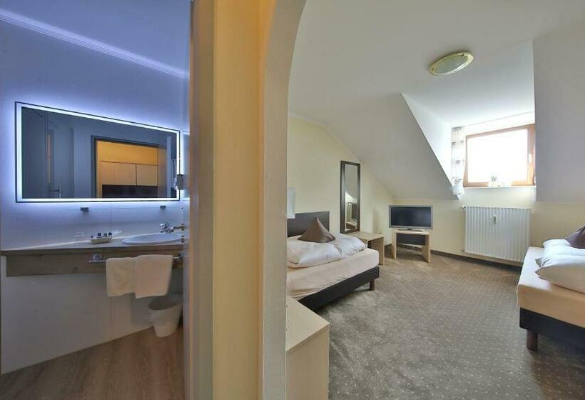 Номер Стандарт Индивидуальный, Bockmaier