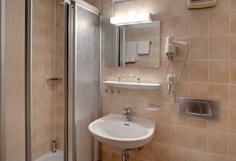 スタンダードシングルルーム, Bsw Hotel Hubertus Park