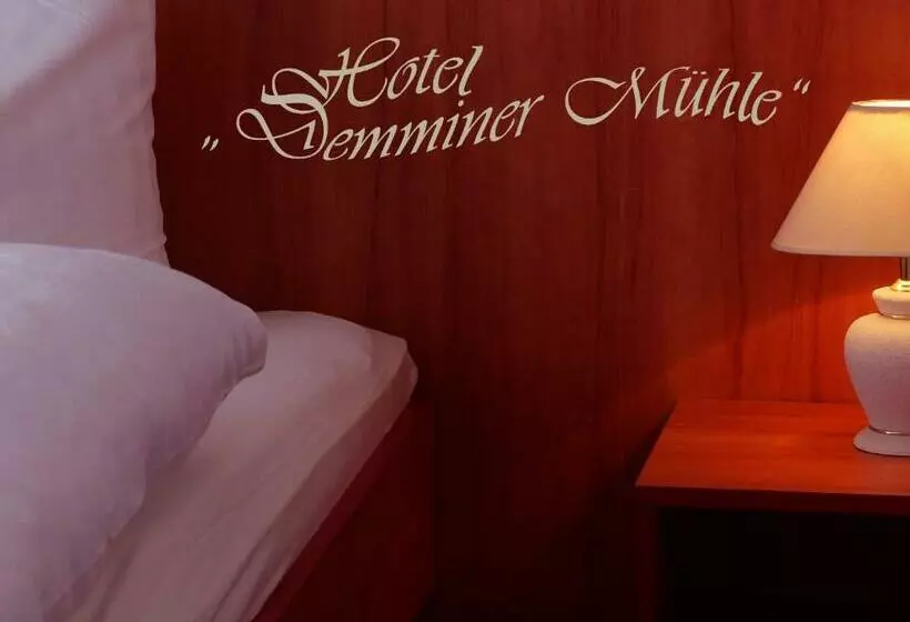 身障者適用シングルルーム, Demminer Mühle