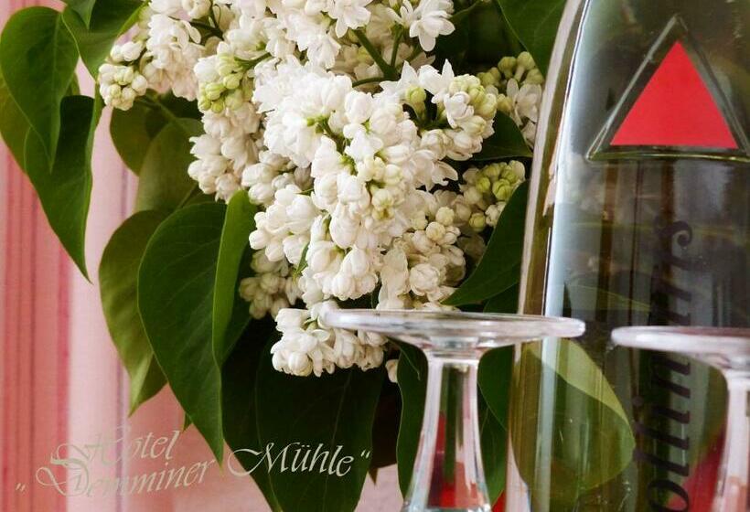 חדר סטנדרט, Demminer Mühle