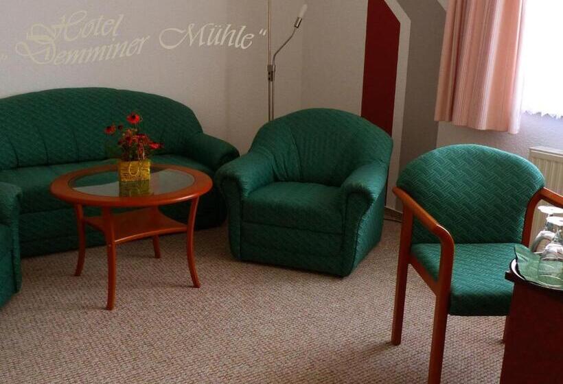 סוויטה, Demminer Mühle