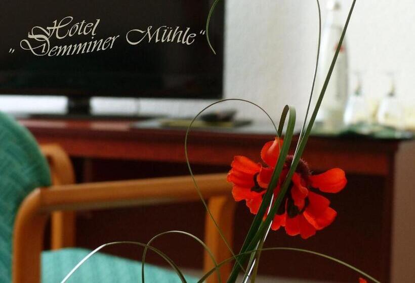 סוויטה, Demminer Mühle