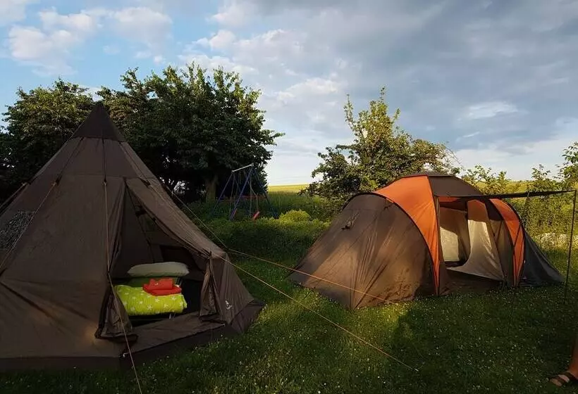 Standard Tent, Eternahof