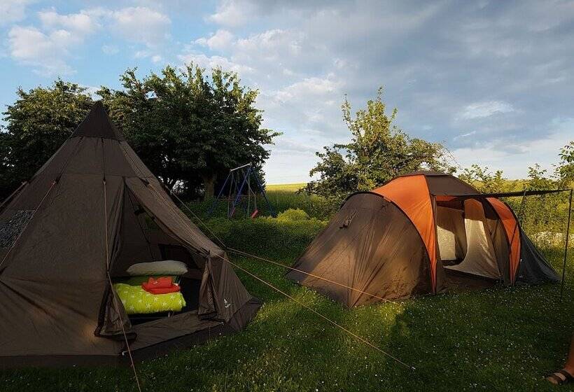 Standard Tent, Eternahof