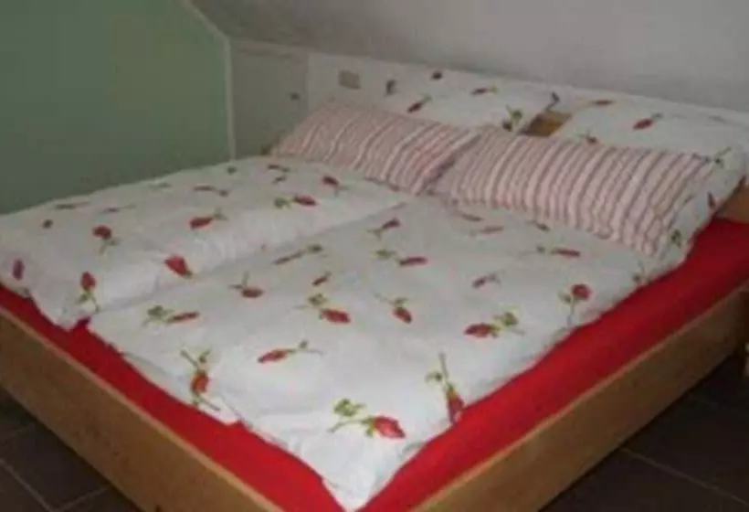 اتاق استاندارد یک نفره, Gasthaus & Pension Lisas Welt Wasserkuppe
