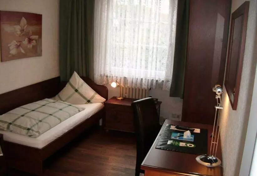 اتاق استاندارد یک نفره, Isenburger Hof