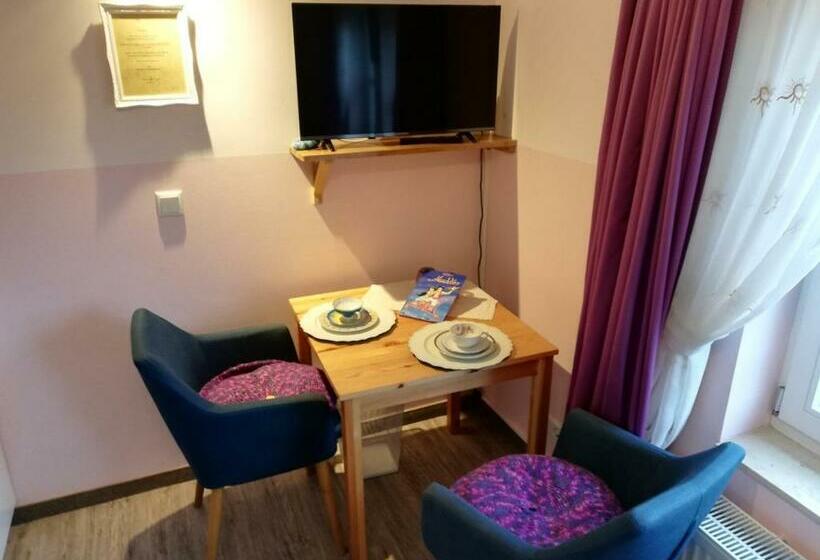 חדר סופריור, Kr¿er & M¿hen Apartments