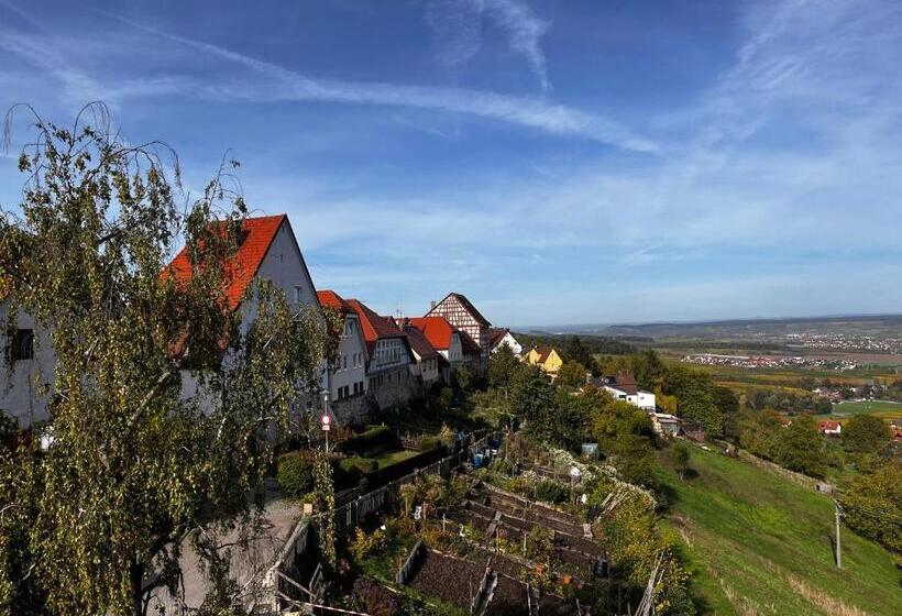 חדר סופריור עם מיטת קינג, Landhaus Hohly