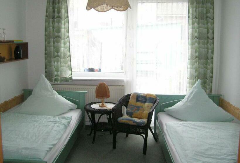 Номер Стандарт Индивидуальный, Pension Am Peeneufer Ug