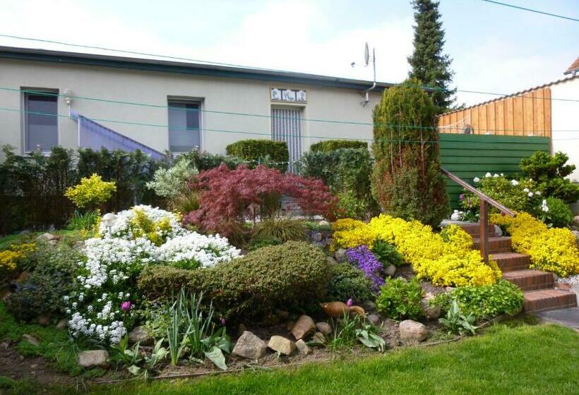 Дом 1 Спальня, Pension Am Peeneufer Ug