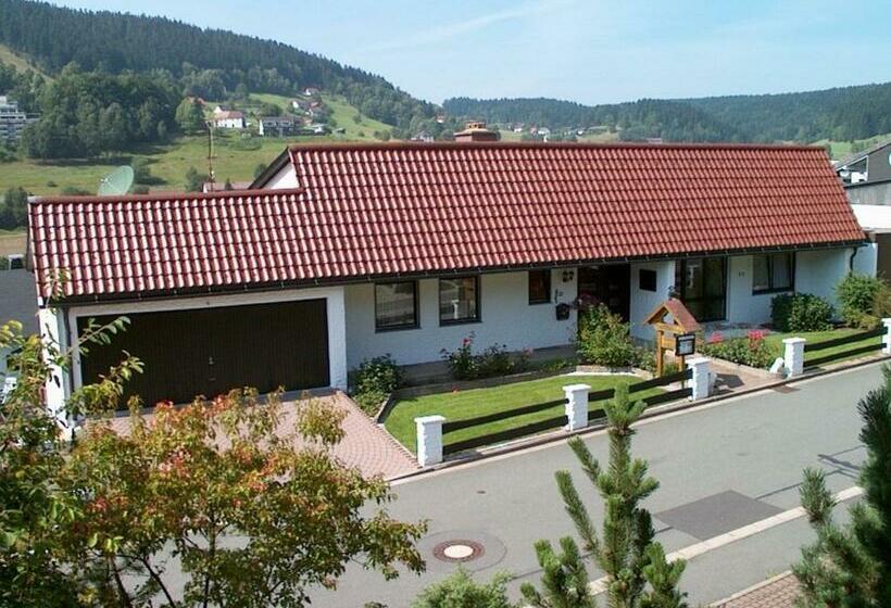 スタンダードルーム, Pension Haus Wanninger