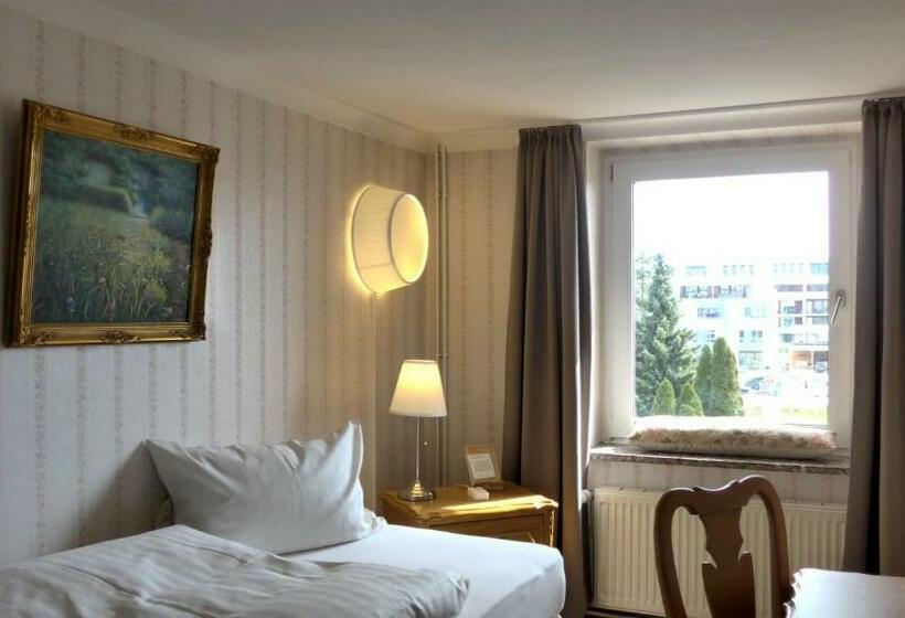 스탠다드 싱글 룸, Romantisches Hotel Zur Traube Schwerin