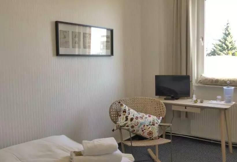 スタンダードシングルルーム, Romantisches Hotel Zur Traube Schwerin