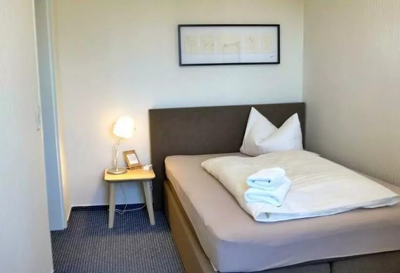スタンダードシングルルーム, Romantisches Hotel Zur Traube Schwerin