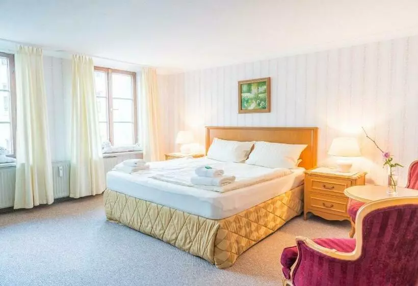 スタンダードルーム, Romantisches Hotel Zur Traube Schwerin