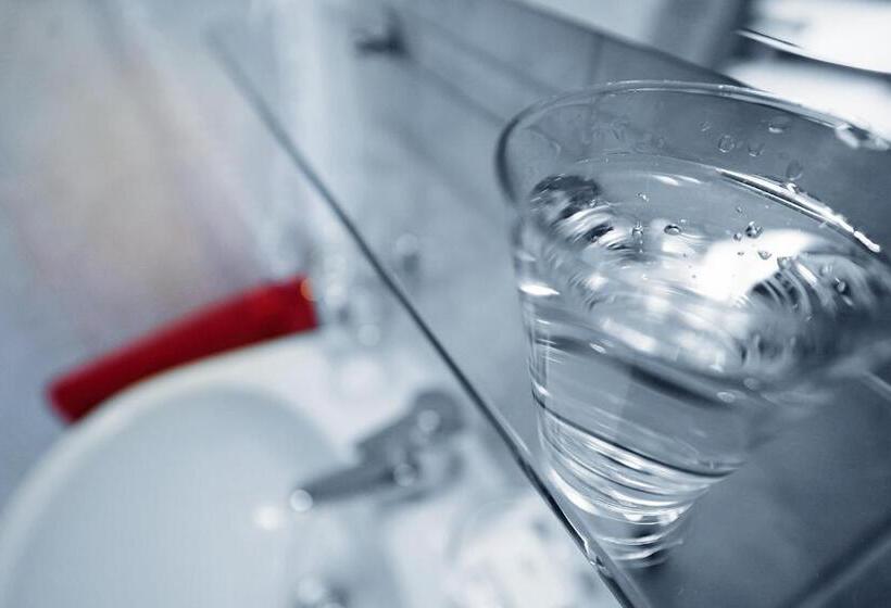 スタンダードシングルルーム, Und Restaurant Bühlhaus