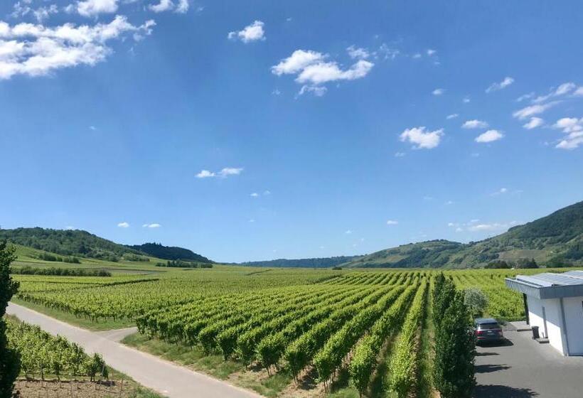 סטודיו סטנדרט עם מרפסת, Weingut Gehlen Cornelius