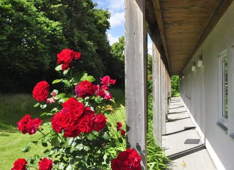 スタンダードトリプルルーム, Zierow  Urlaub An Der Ostsee