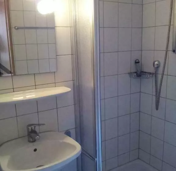 Standard Yhden Hengen Huone, Zur Frischen Quelle