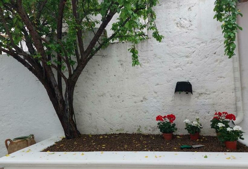 침실 2개 아파트, Nunnu Pati Apartment