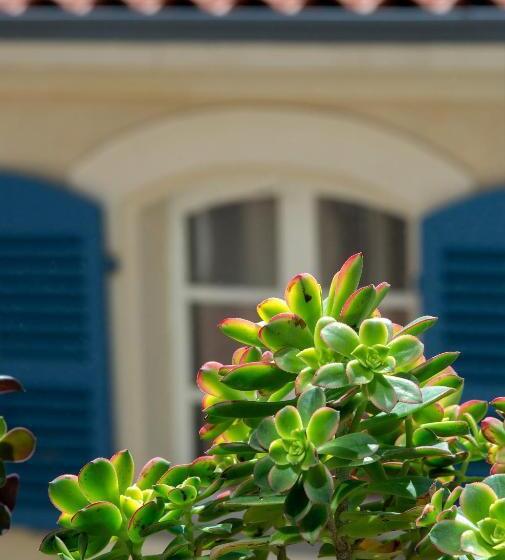 디럭스 룸, La Maison Vague