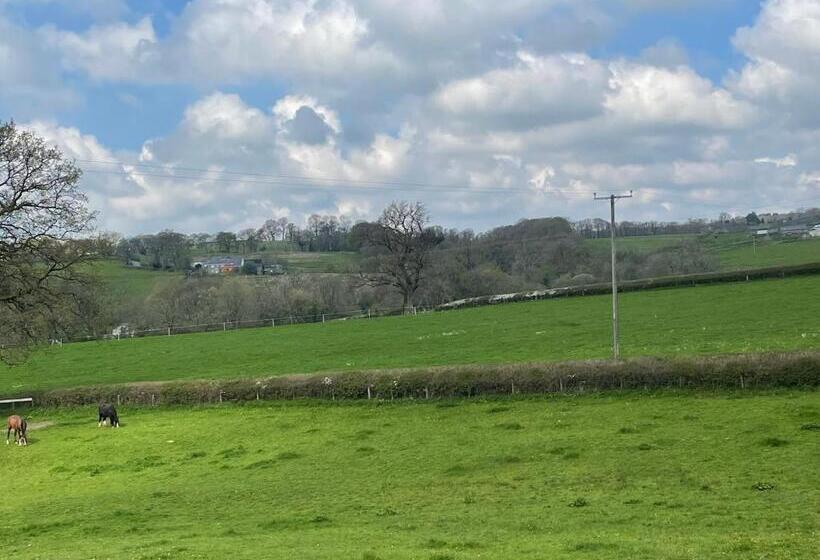 اتاق استاندارد با تخت بزرگ, The Cottage Inn