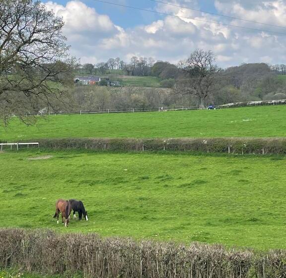 اتاق استاندارد با تخت بزرگ, The Cottage Inn