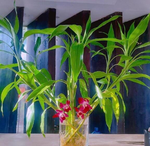 غرفة قياسية, Ultimate Boutique