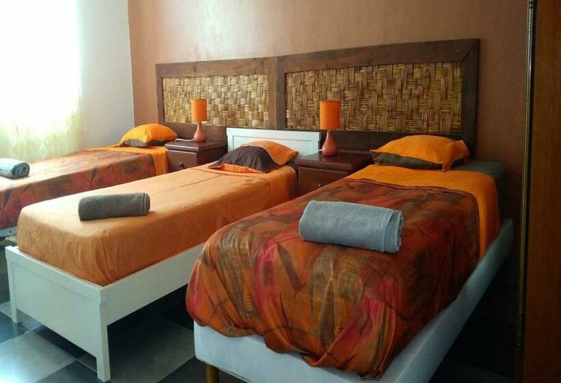 اتاق استاندارد, Kolina D´sol