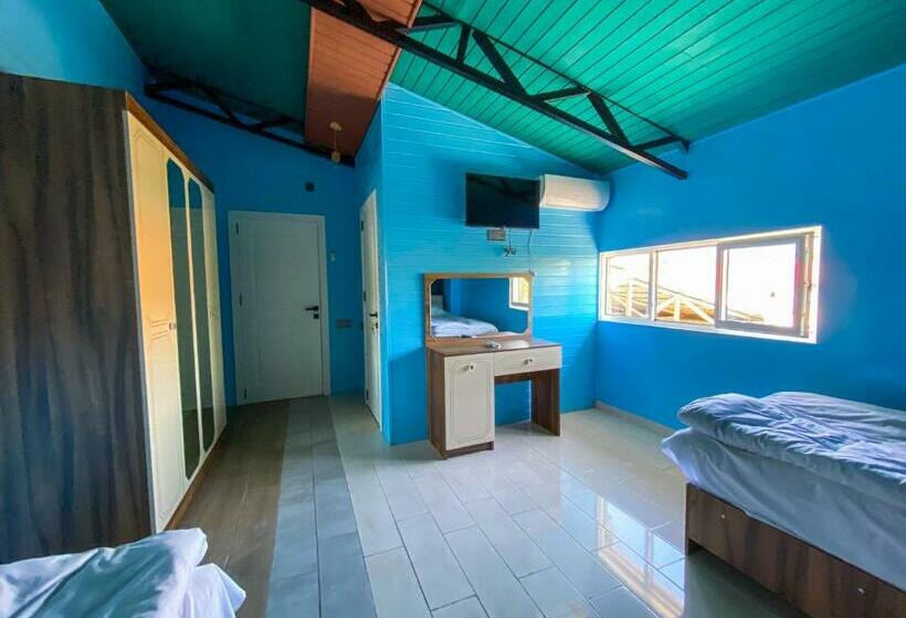 اتاق استاندارد با سرویس بهداشتی مشترک, Miramida