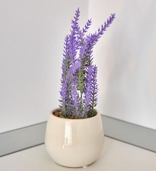 חדר סטודיו סטנדרד, Grup Casa Del Mar