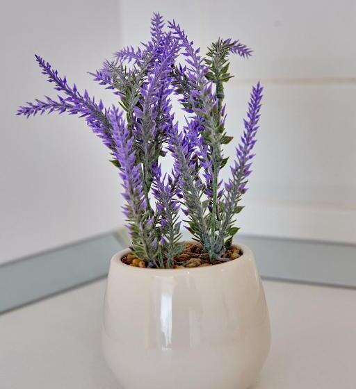 إستديو قياسى مزود بشرفة, Grup Casa Del Mar