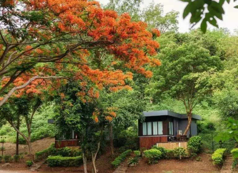 スタンダードルーム, Ruknam Resort