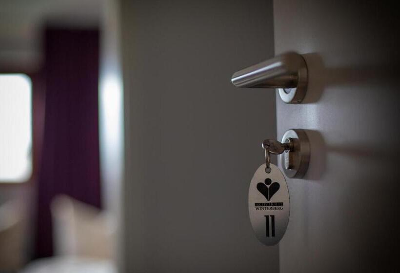 带1个卧室的公寓, Aktiv Hotel Winterberg