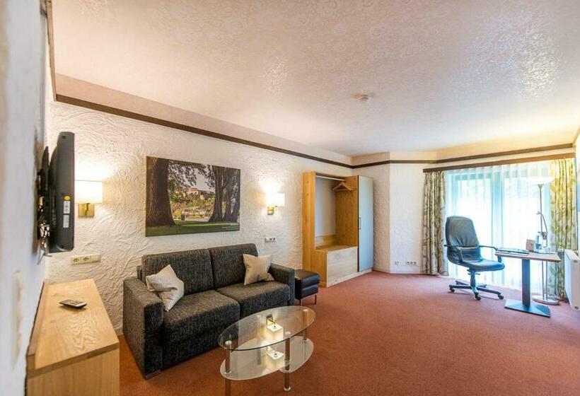 Номер Комфорт Индивидуальный, Contel