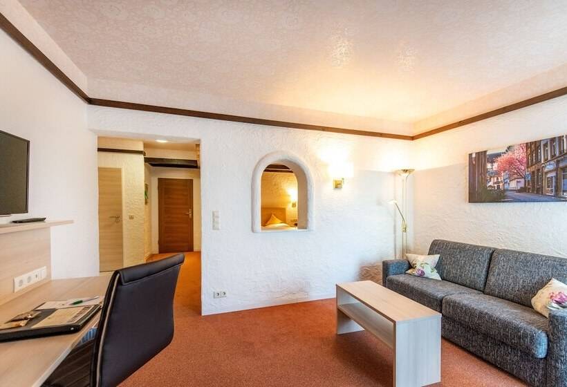 Номер Премиум, Contel