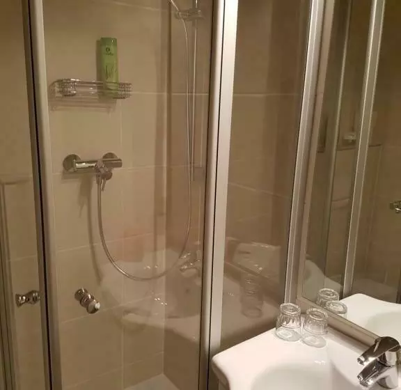 Standard Yhden Hengen Huone, Giesing