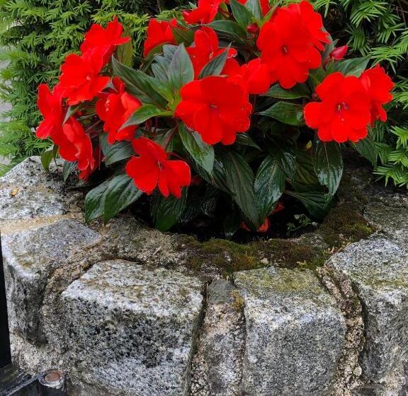 Апартаменты 1 Спальня с Террасой, Gästehaus Cramer