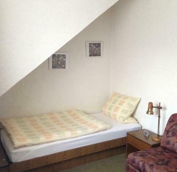 חדר סטנדרט יחיד, Guesthouse Airminis