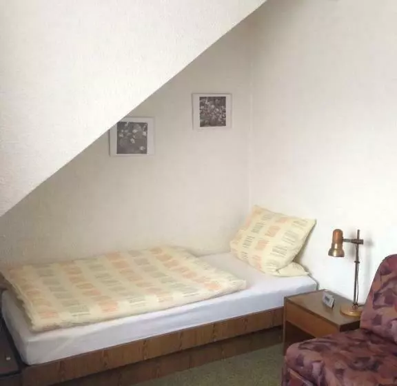اتاق استاندارد یک نفره, Guesthouse Airminis