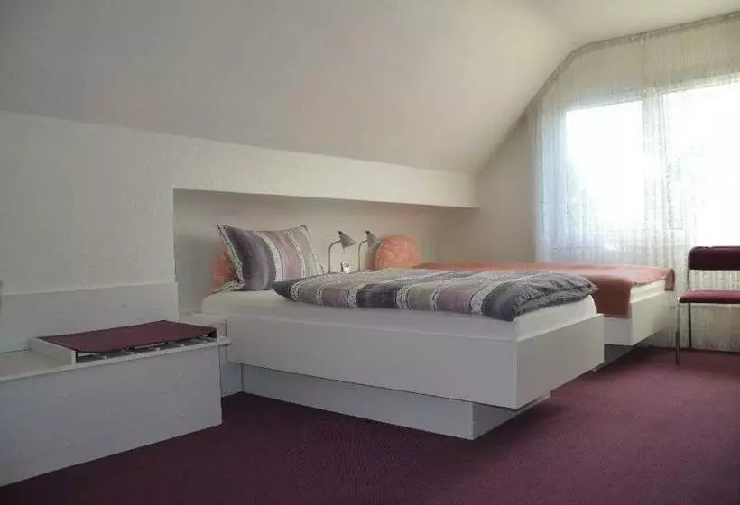اتاق استاندارد, Guesthouse Airminis