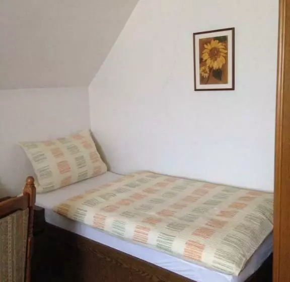 اتاق استاندارد, Guesthouse Airminis