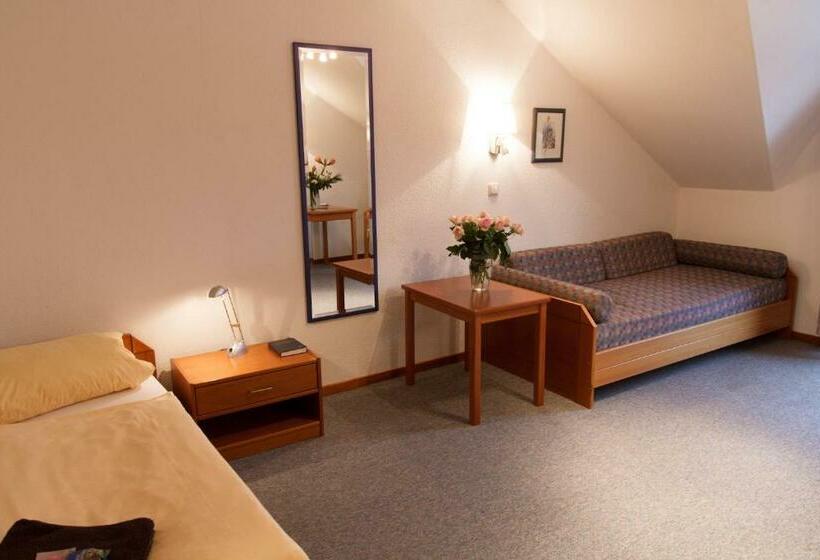 발코니 스탠다드 싱글 룸, Krelinger Freizeit  Und Tagungszentrum