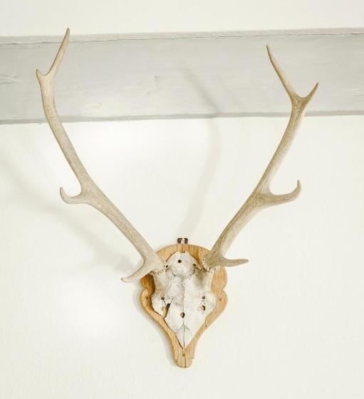 דירת דופלקס בת חדר שינה 1, Krone Martinsthal