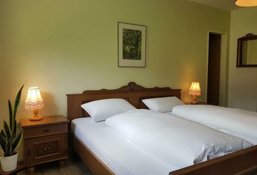 Номер Стандарт, Landhaus Sonnenhof